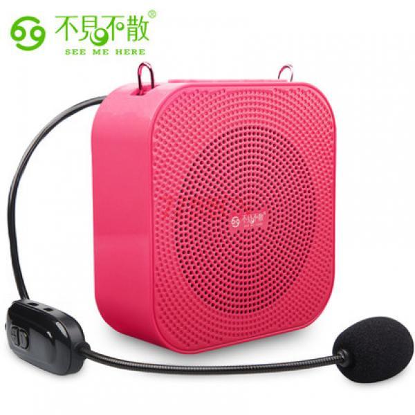 不见不散T900无线扩音器教师教学远距离大功率插U盘（麦克没有售后）
