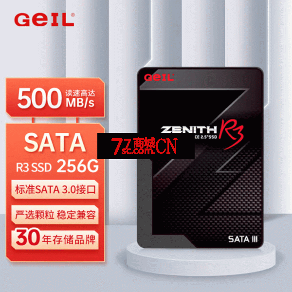 GeIL金邦 256GB SSD固态硬盘 SATA3.0接口 台式机笔记本通用 高速500MB/S R3系列