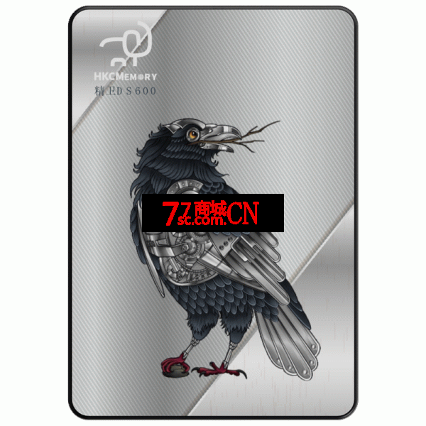 HKC惠科精卫SATA DS600 2.5寸高速固态硬盘512GB SATA3向下兼容SATA2
