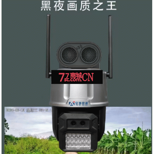 安特4G天视通臻全彩球机（灰色）终身免流