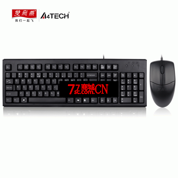 双飞燕 （A4TECH） KR-5520NP圆角舒键鼠套装 双P口套件